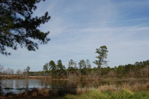 Old Mill Pond Scene