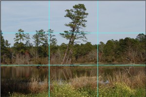 Lake Scene Divided Into Thirds