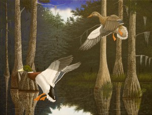 Wildlife Conservations Prints for Sale