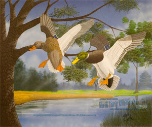 Wildlife Art Riverbend Mallards