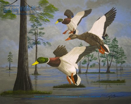 Wildlife Art, Mallard Ducks